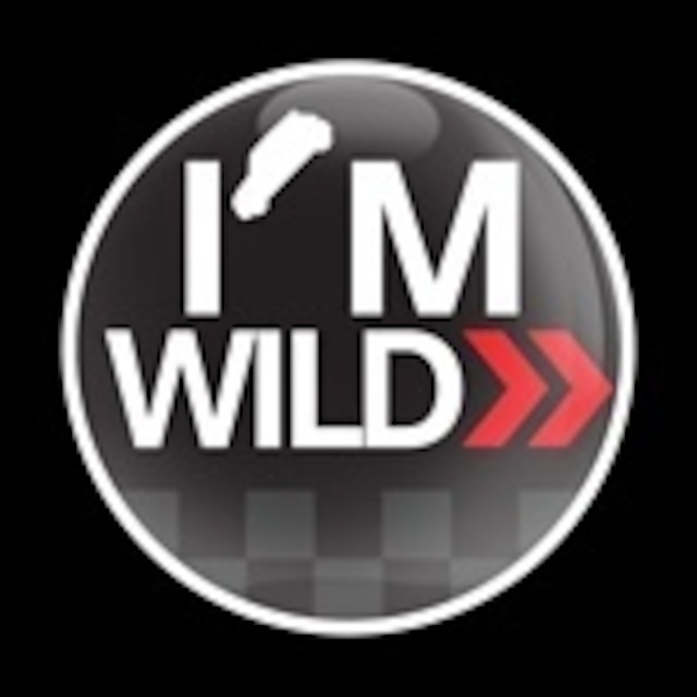 ゴーバッジ(★在庫処分★)（CD0289 - I'M WILD） - メイン画像