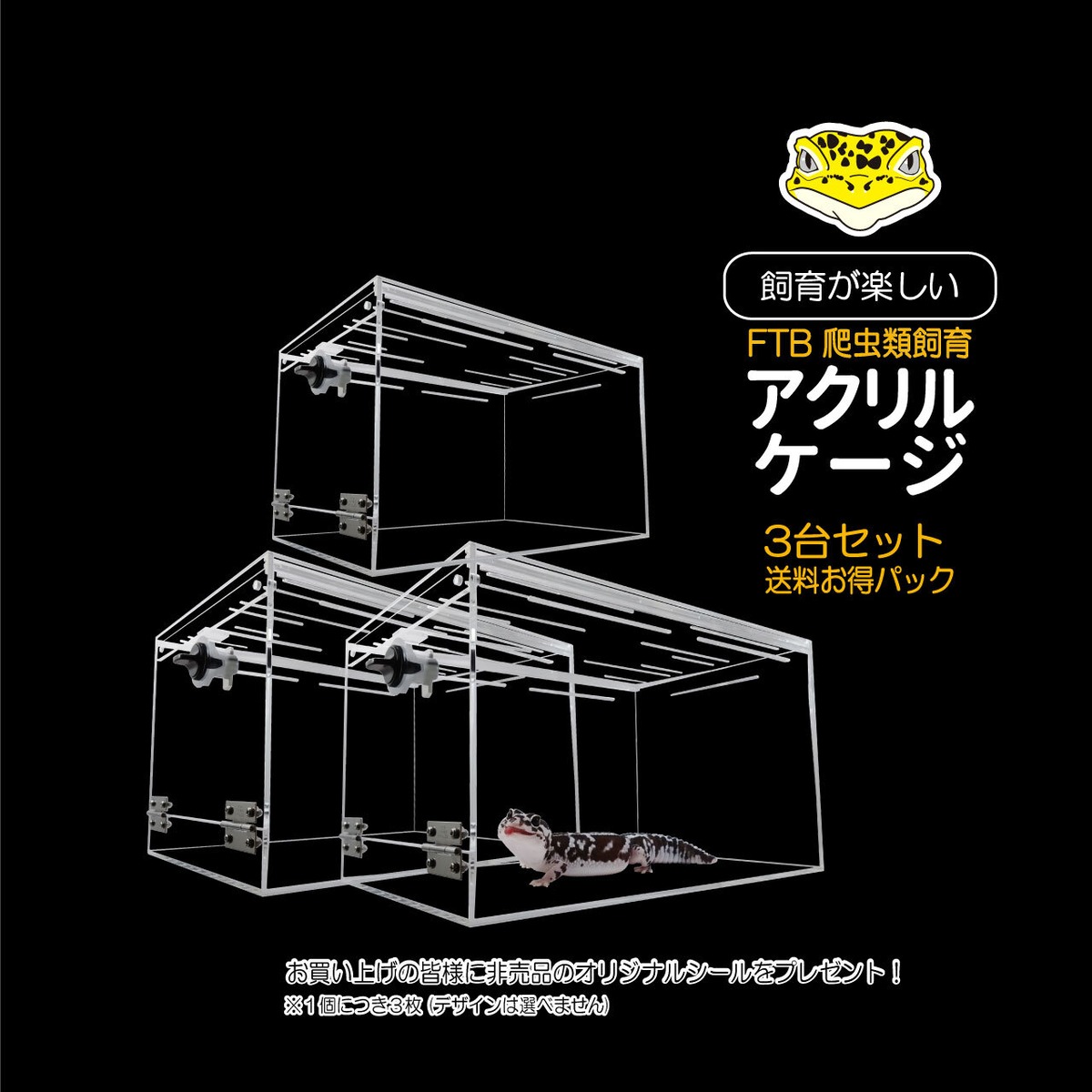 FTB小型爬虫類アクリルケージ3台セット【送料お得パック】 | CLEAN 