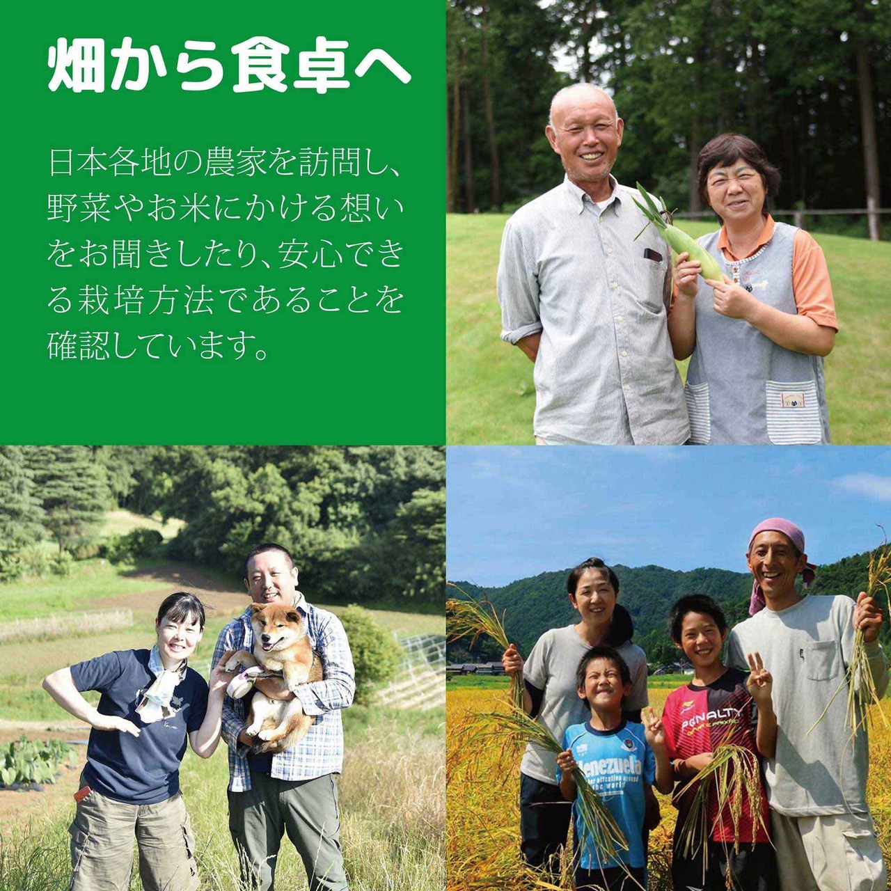 （冷凍）ととのう弁当　6食セット（6種類×各１食）組合せ内容は毎月変わります