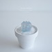 clear cactus 短毛丸