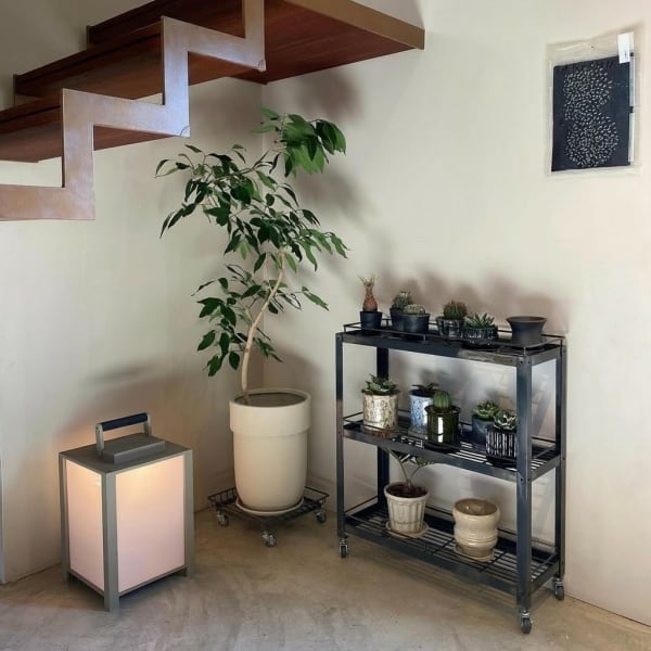 シュタール ワイヤー ラック 植木鉢 プランター ボタニカルラック
