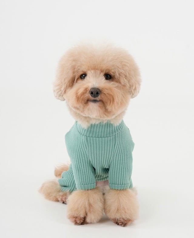 活発で元気な我が子へ (GREEN)