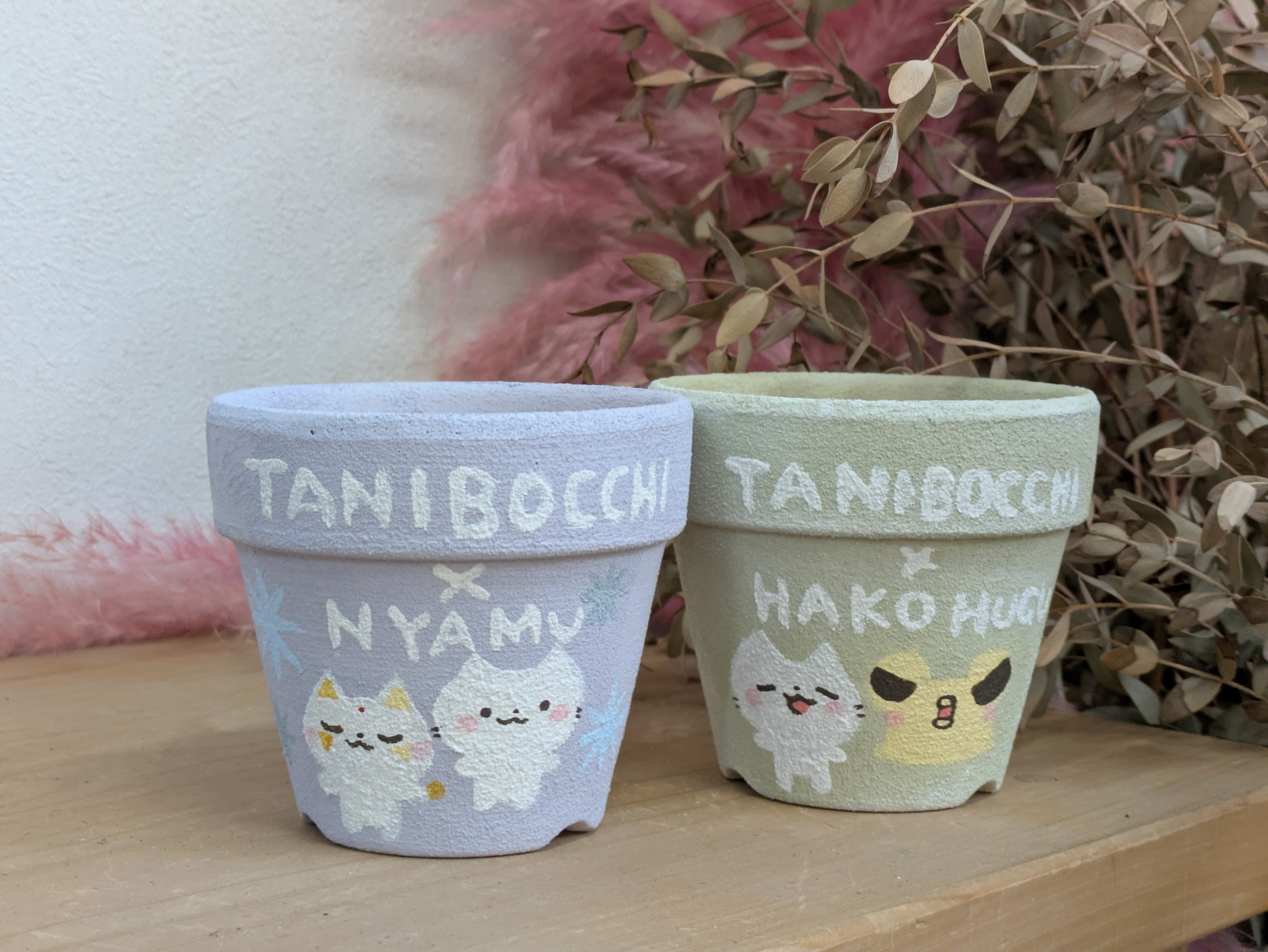 tanibocchiさんコラボセット リメイク鉢 3号鉢 | 成瀬多肉