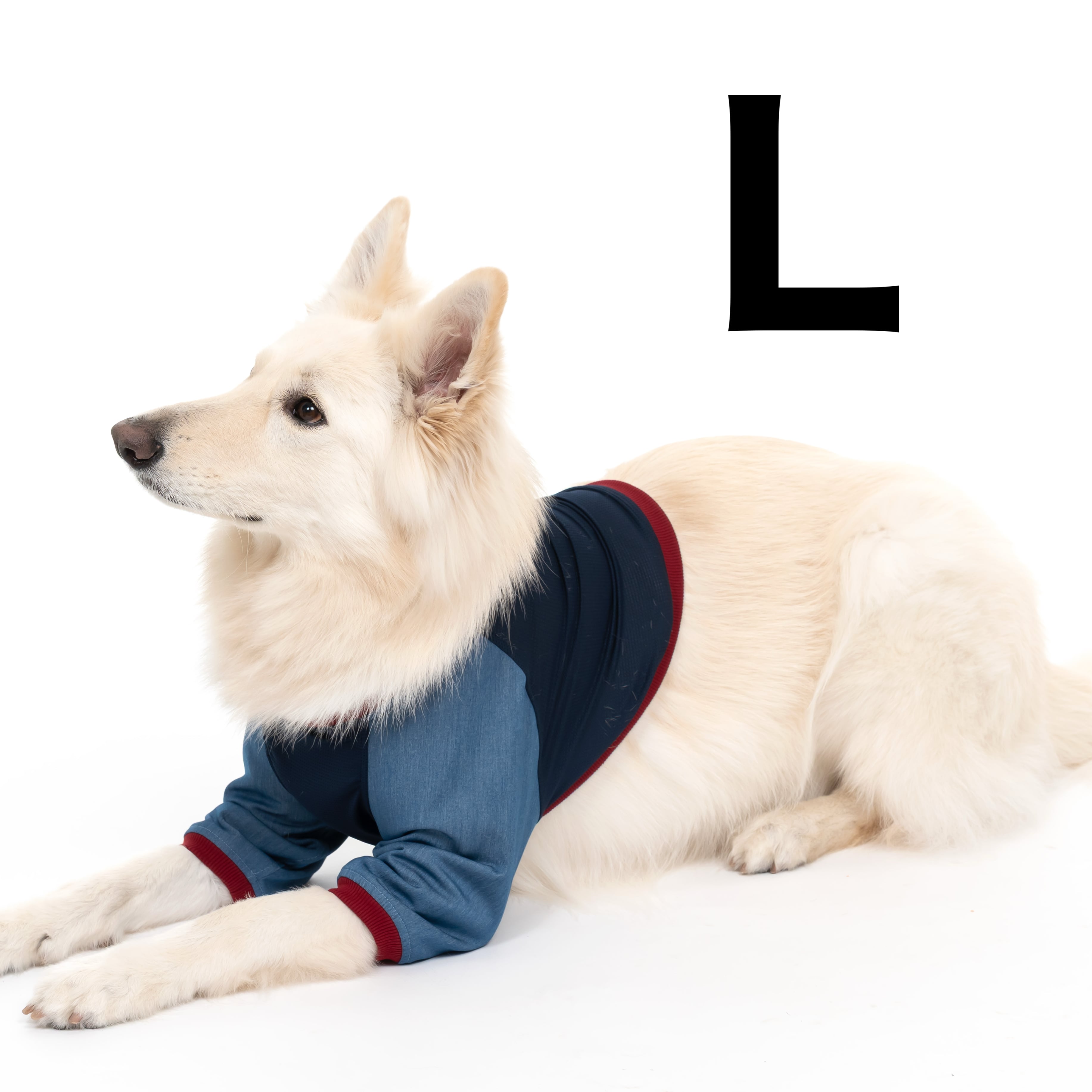 ぷる ハンドメイド 犬服 dog wear coco&lulu's galleryのプロフィール | 犬服 ココ&ルル様