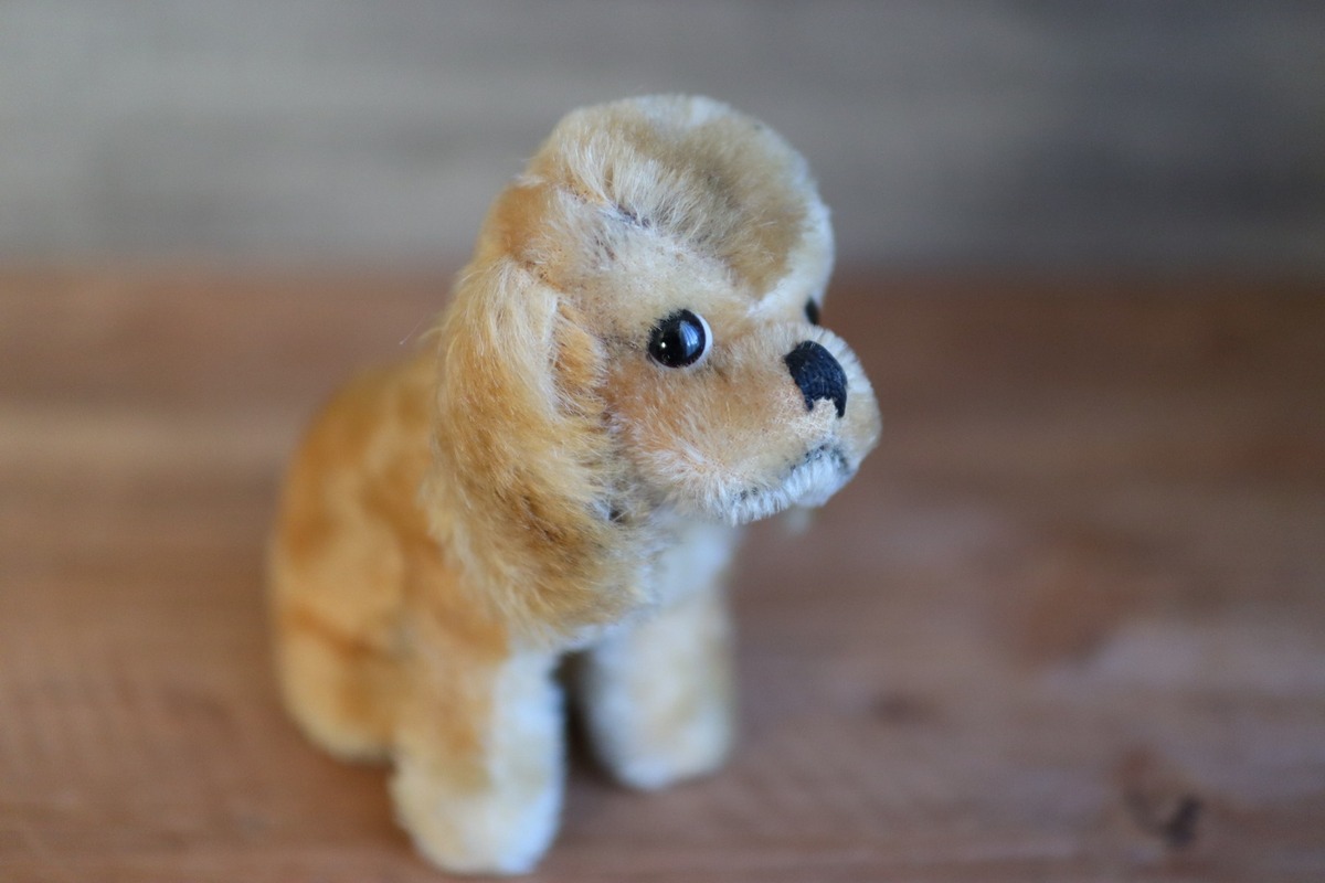 ヴィンテージ シュタイフ 犬 コッカースパニエル Revue Susi 12 