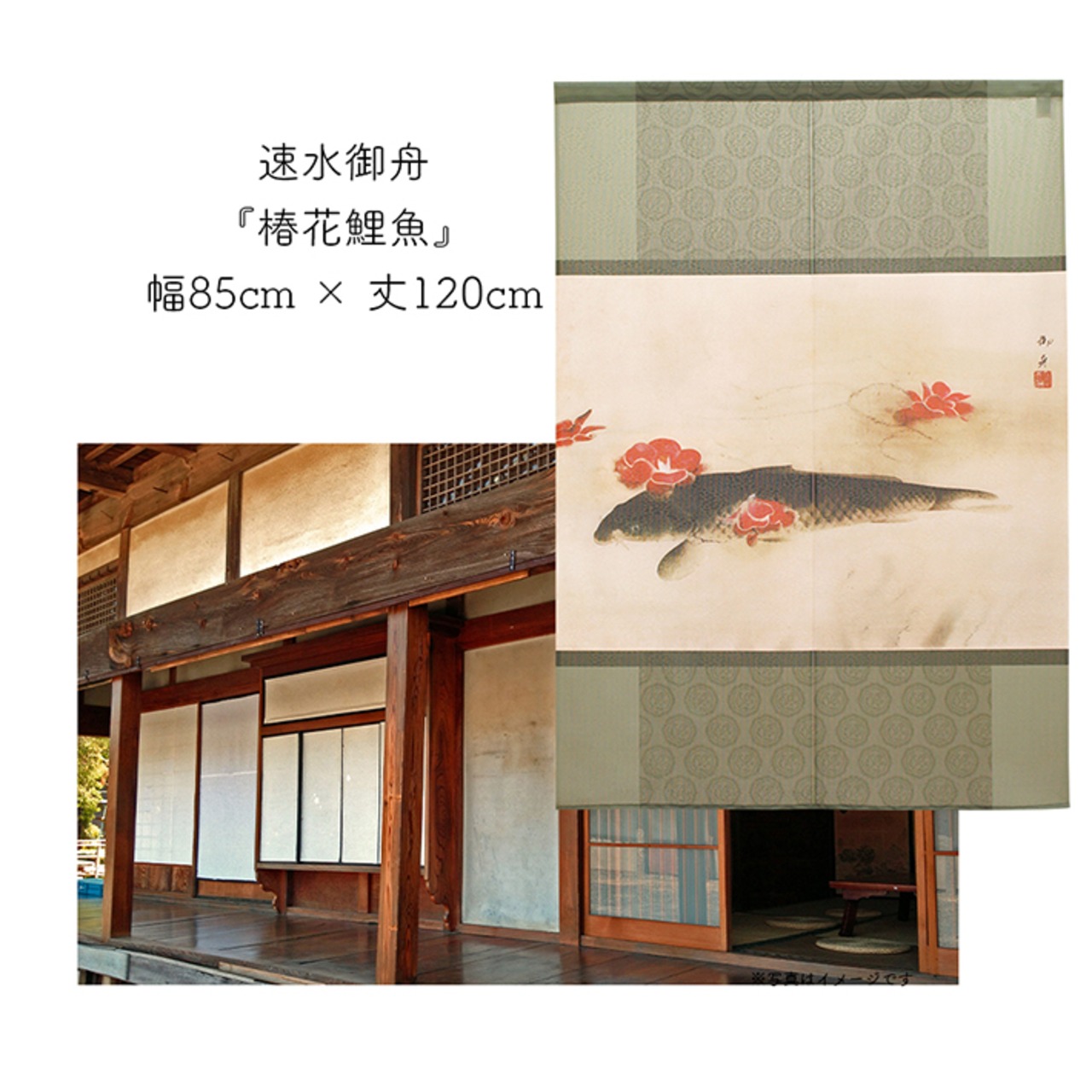 【のれん】速水御舟  椿花鯉魚 幅85ｘ丈120cm
