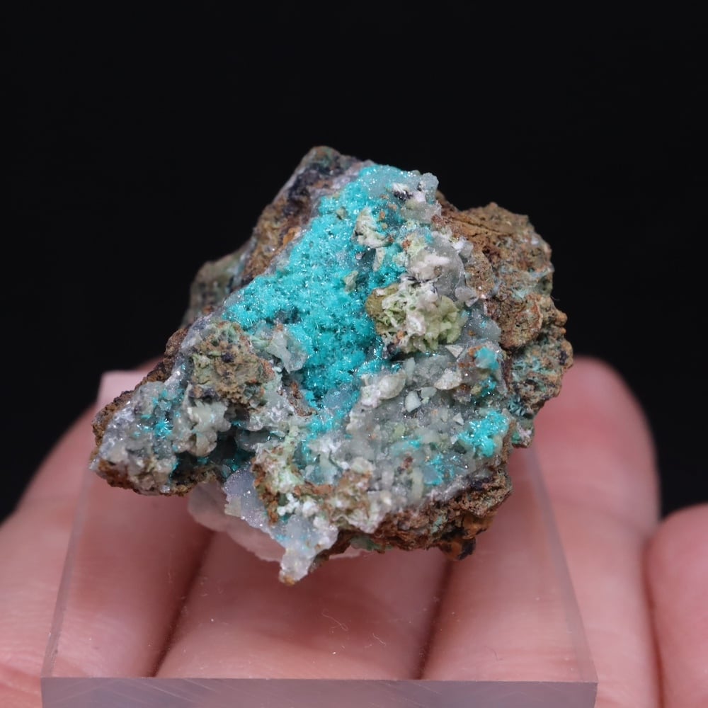 宝石質ダイオプテーズ 翠銅鉱 原石 天然石 鉱物 パワーストーン 1点物 高品質ダイオプテーズ（翠銅鉱）原石クラスター