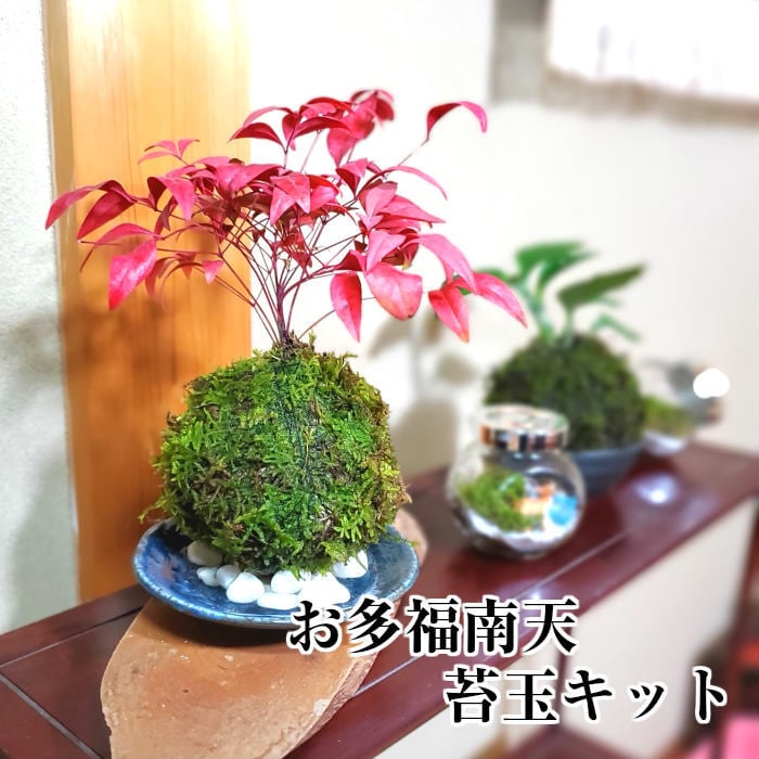 17282ee189042bc175984d10f8b7e3