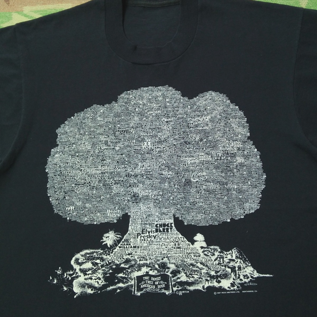 80s～ THE FAMILY TREE OF AMERICAN ROCK Print T-Shirt | Wonder Wear 