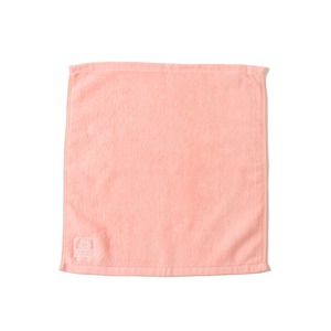ALPSDR LOGO HAND TOWEL