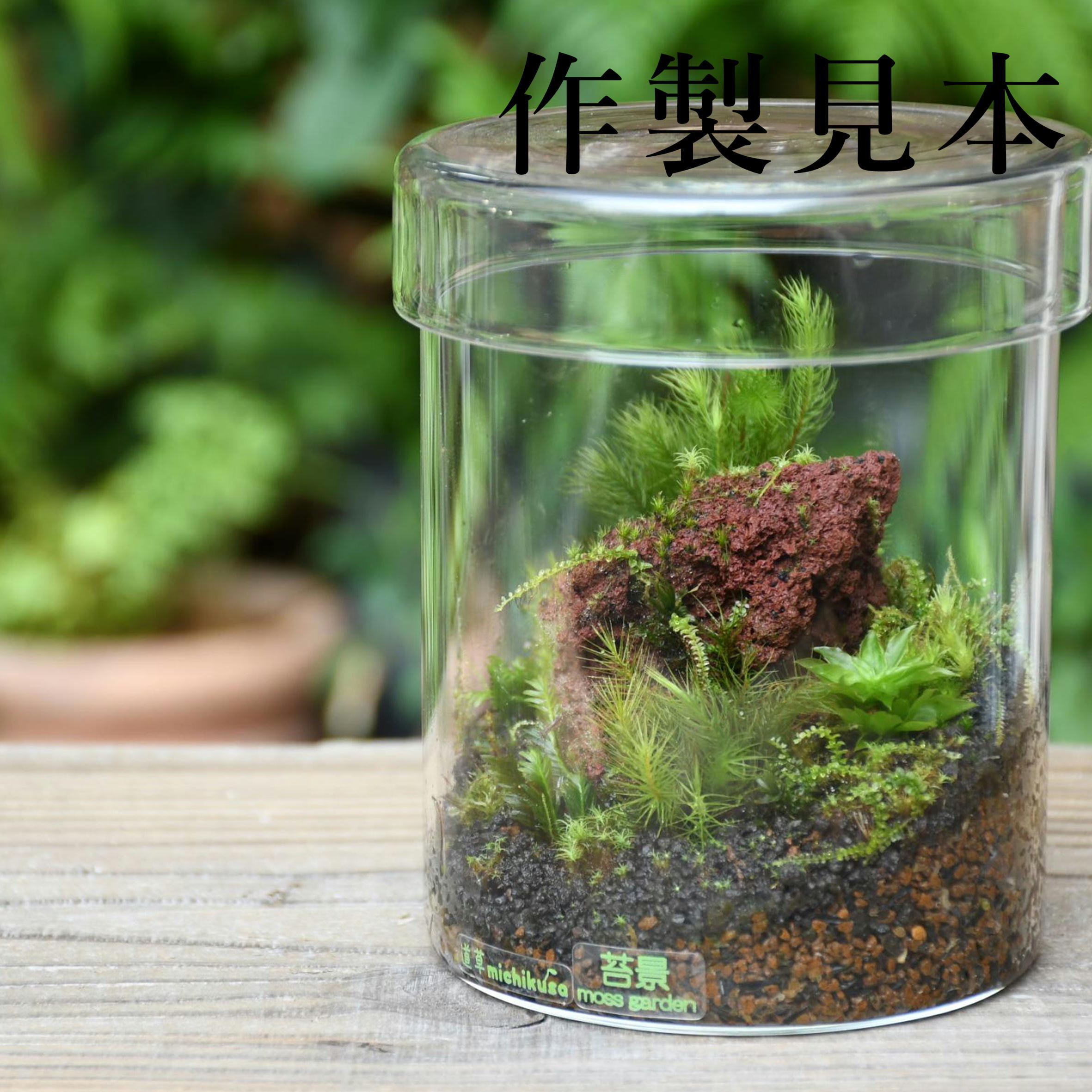 ガラス容器】シリンダーL（直径103xh123mm）◇高さのあるコケの