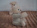 Vintage Mohair twin teddy bears (Boy)