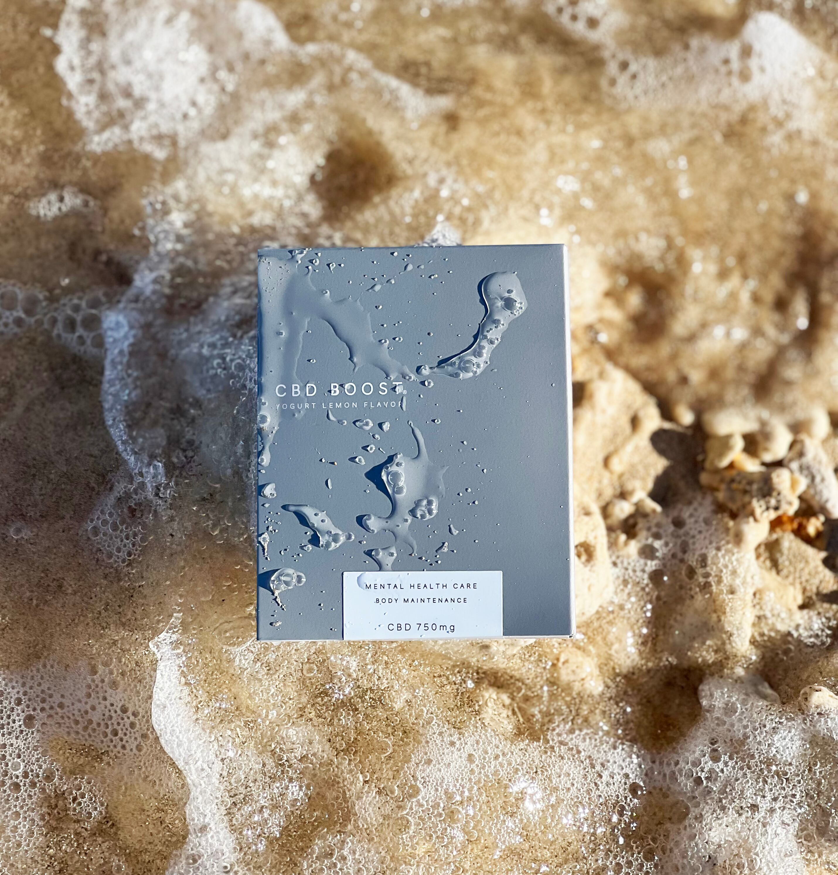 50%OFF ブラックフライデー 特別SALE!