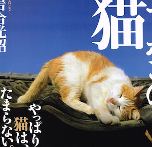 ニッポンの猫（写真集）（帯付き）