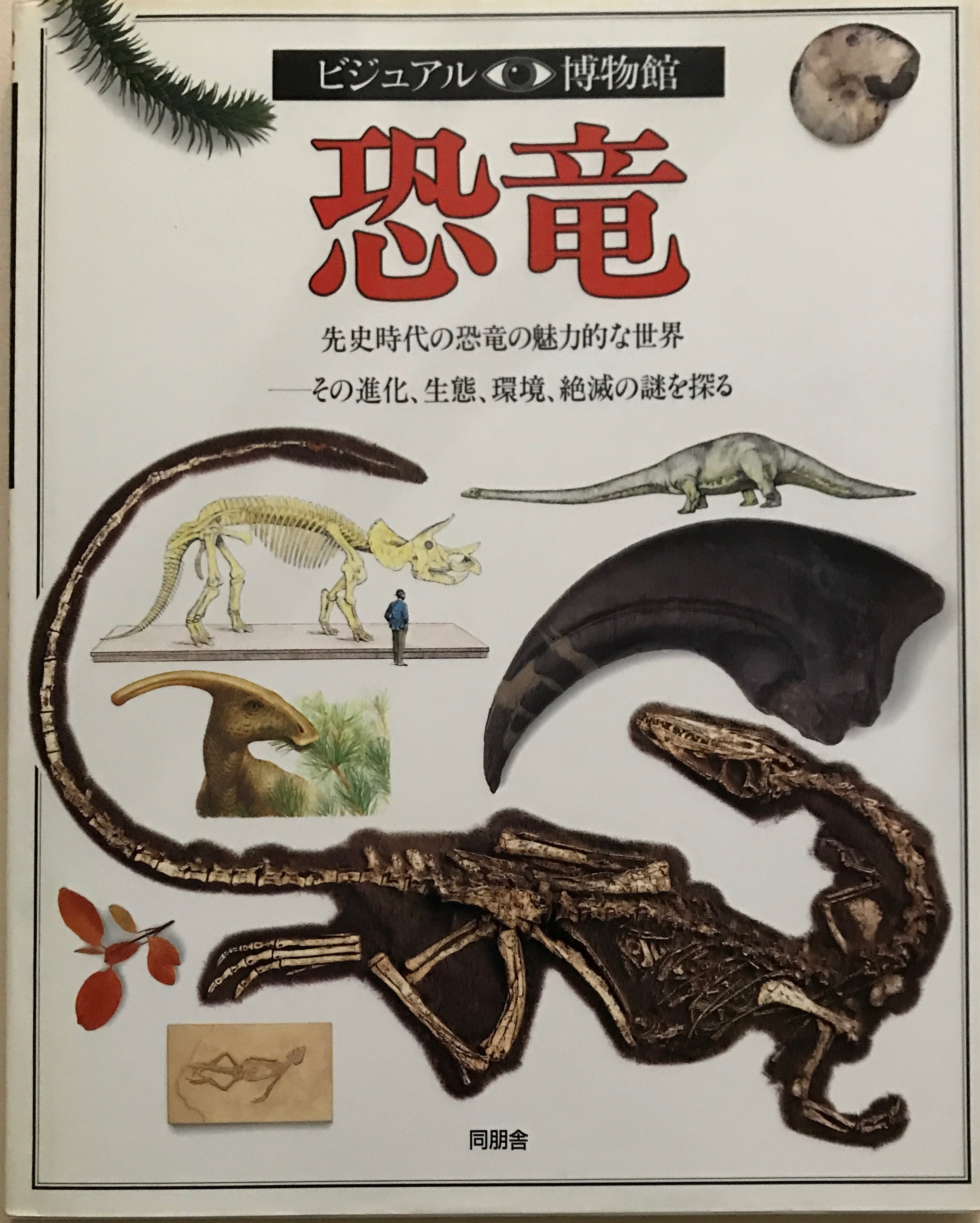ビジュアル·博物館　19冊 ビジュアル博物館シリーズ 19冊 同朋社