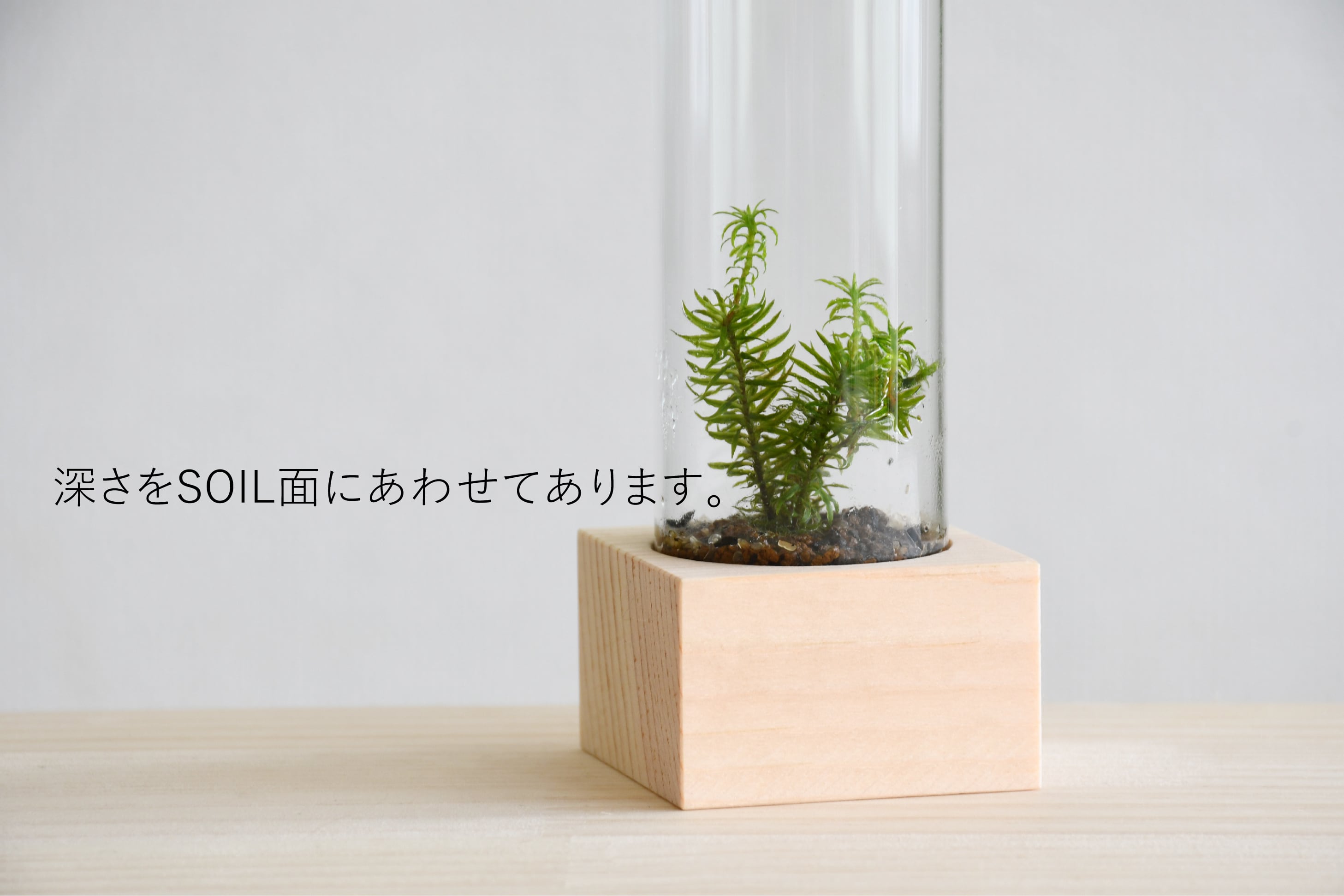 アンティーク　木製試験管立て 24本用 フラワーベース 木製試験管立て 1本用 | 苔テラリウム専門ショップ道草