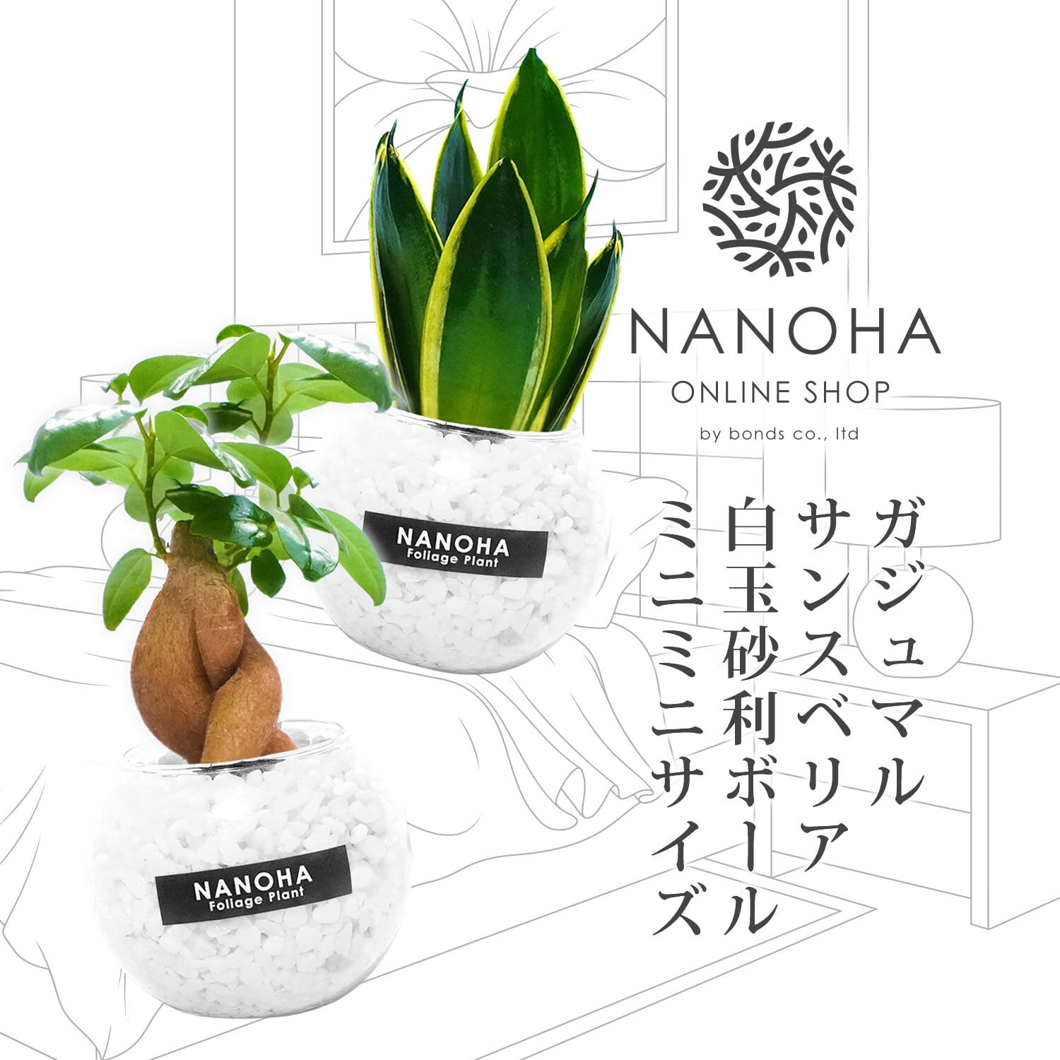 ミニミニ2点セット】ガジュマル サンスベリア 白砂利（丸容器