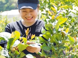 【リニューアル!】野菜計画の"濃い味"野菜箱大盛り（＊初回限定10％OFF）