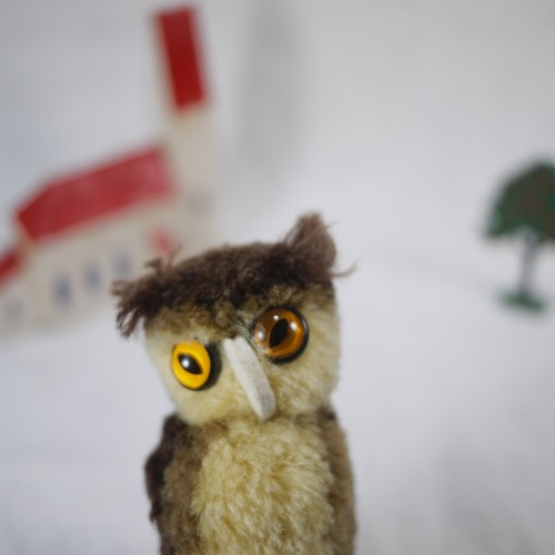 シュタイフ ポンポン フクロウ Woolen Owl　ふくろう