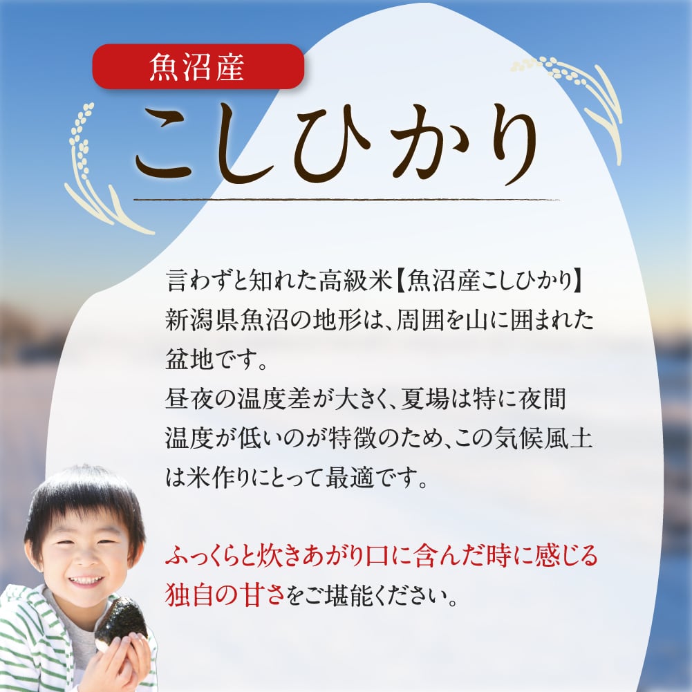 「日本を代表する米処」魚沼産こしひかり 10kg (5kg 2袋) 精米済 【令和５年産】