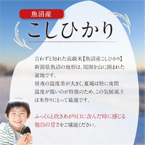 「日本を代表する米処」魚沼産こしひかり 10kg (5kg 2袋) 精米済 【令和５年産】