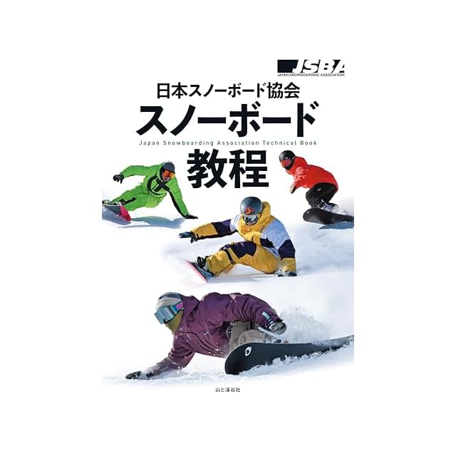 ALPINE 9nine plateカーボンプレート | Pay ID