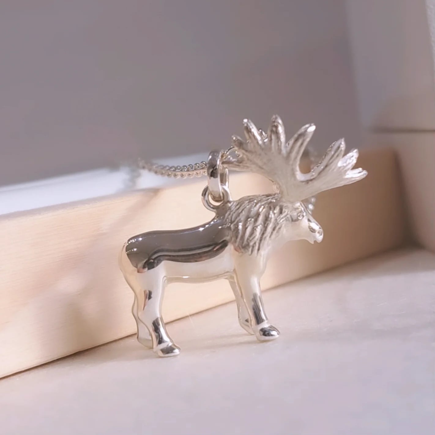 12 ニホンジカ 角 55cm 幅50cm 12 ニホンジカ 角 55cm 幅50cm 12