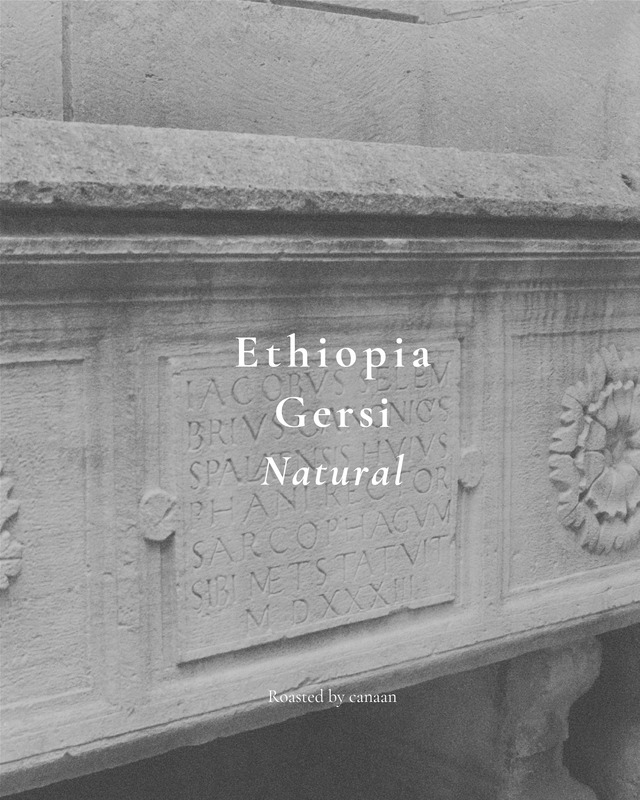 Ethiopia Gersi Natural | 400g