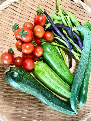 畑おすそわけ。固定種の野菜と『つぎはぎ農園日記』