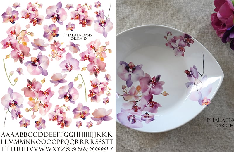 水彩ファレノプシスオーキッド(胡蝶蘭) A4サイズ (ポーセリンアート用転写紙)