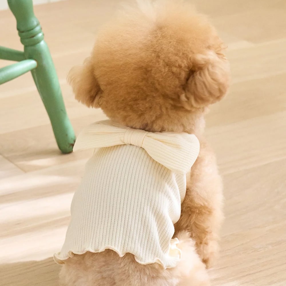 犬服・アクセサリー Little Rhythnnne BENNYS リボニークロップトップ リボン ドッグウェア ペットウェア 犬