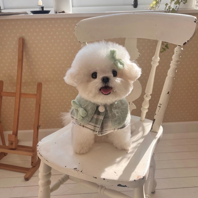 【即納】[Hi yeboo] Luna Fur Cape (Pistachio)
