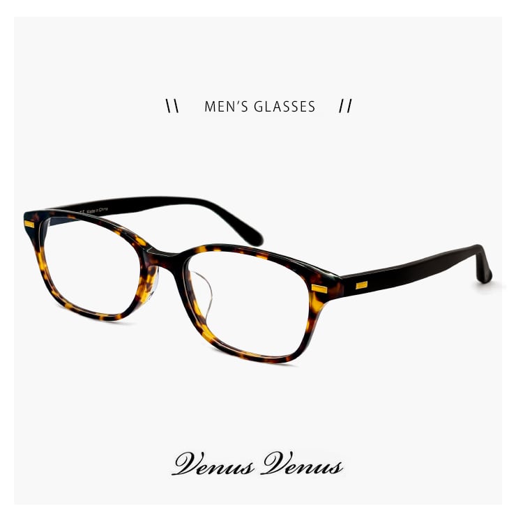 【新品】 メガネ ナイロール メンズ 2261-6 男性用 眼鏡 venus!venus!