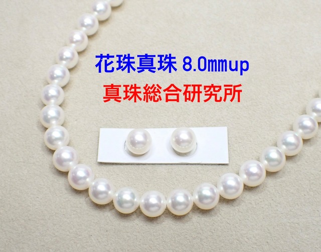 花珠真珠！ アコヤ真珠 8.0㎜up 真珠総合研究所 鑑付（LA-8261 