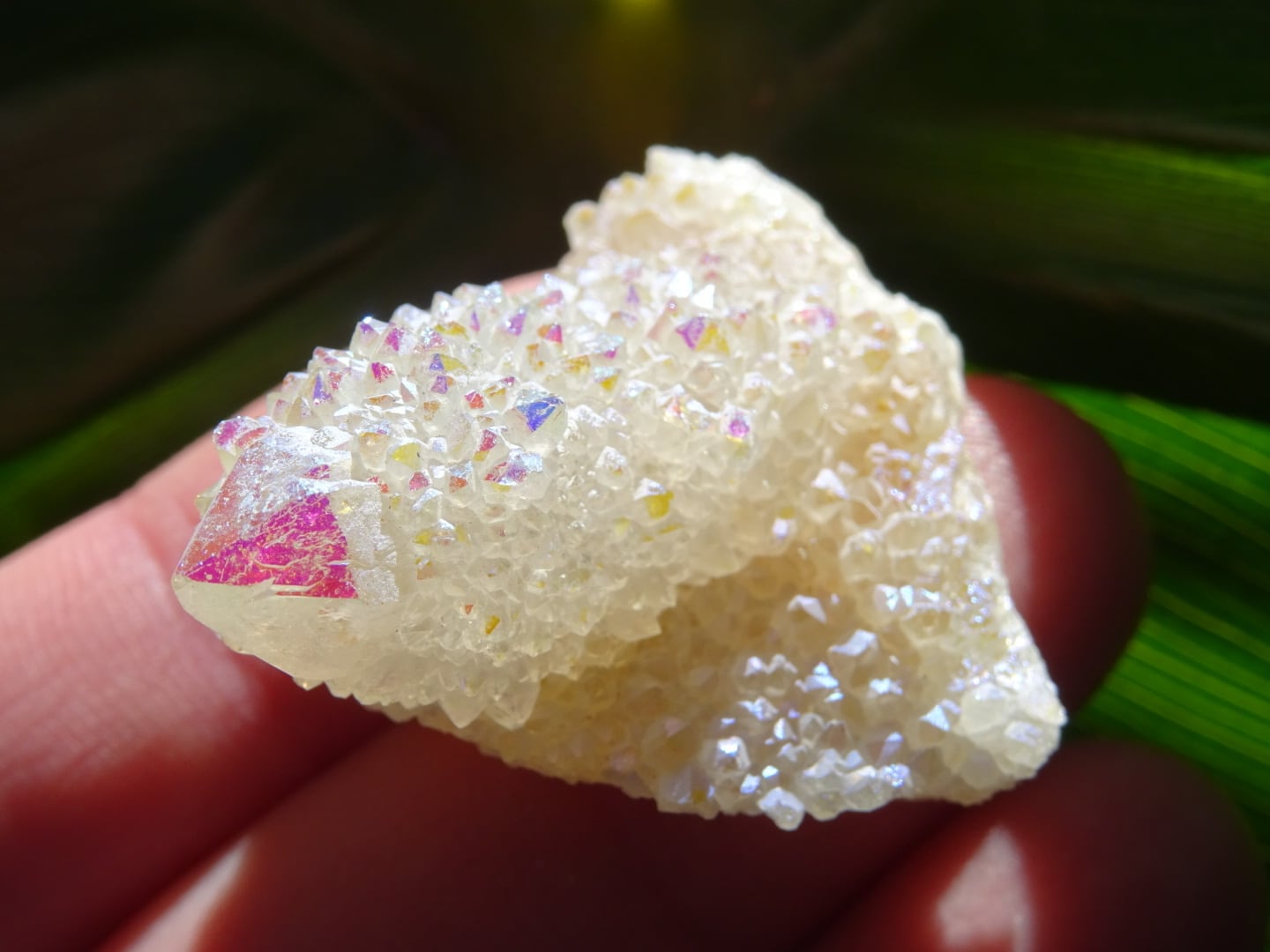 カクタスエンジェルオーラクォーツ | 虹石屋