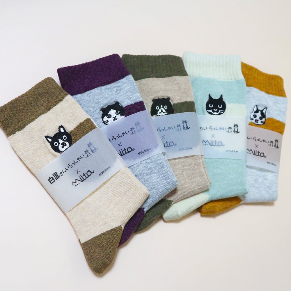 白黒さんいらっしゃい×Miita 靴下 | KNOCK NOK