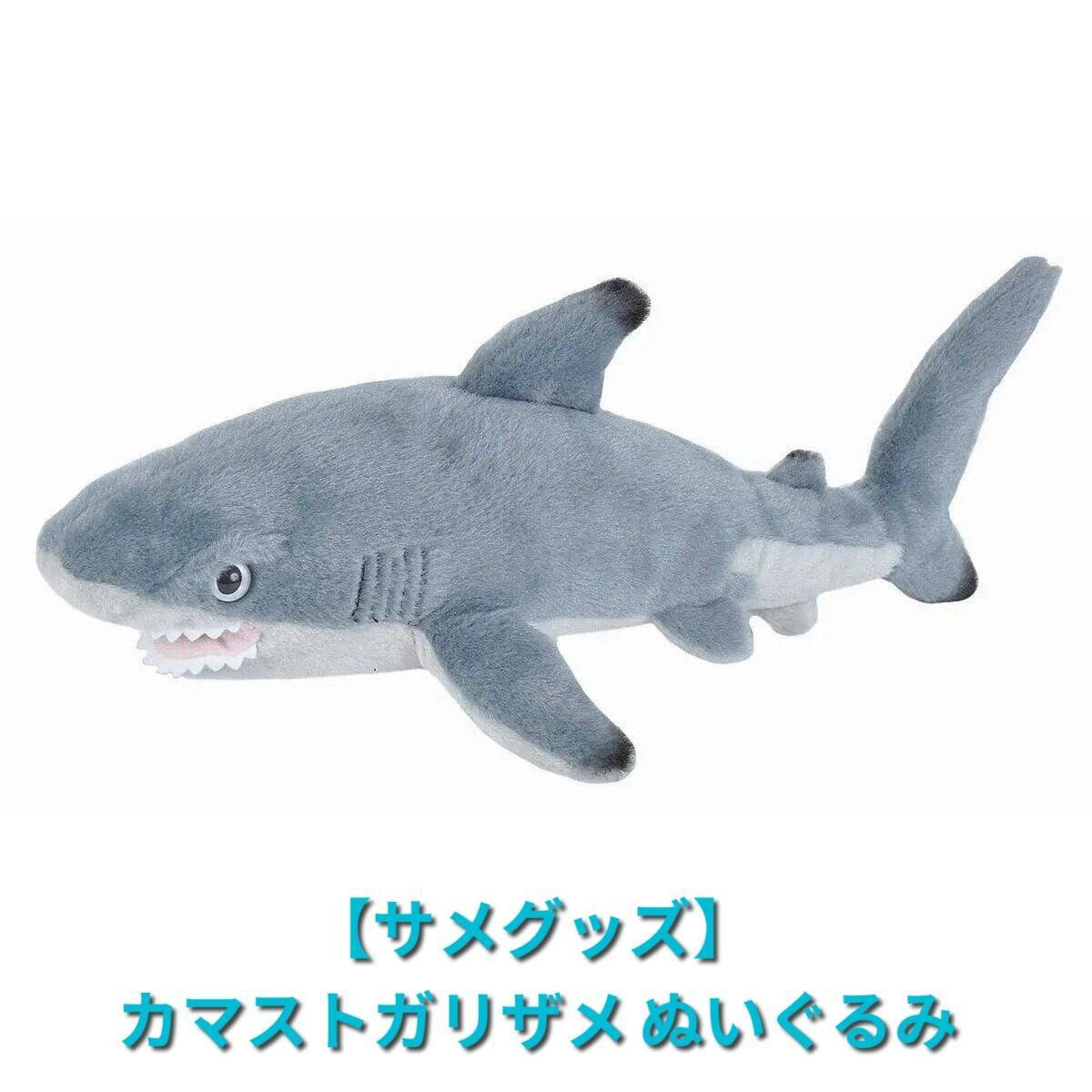 サメグッズ】カマストガリザメ ぬいぐるみ | 気仙沼 シャークス