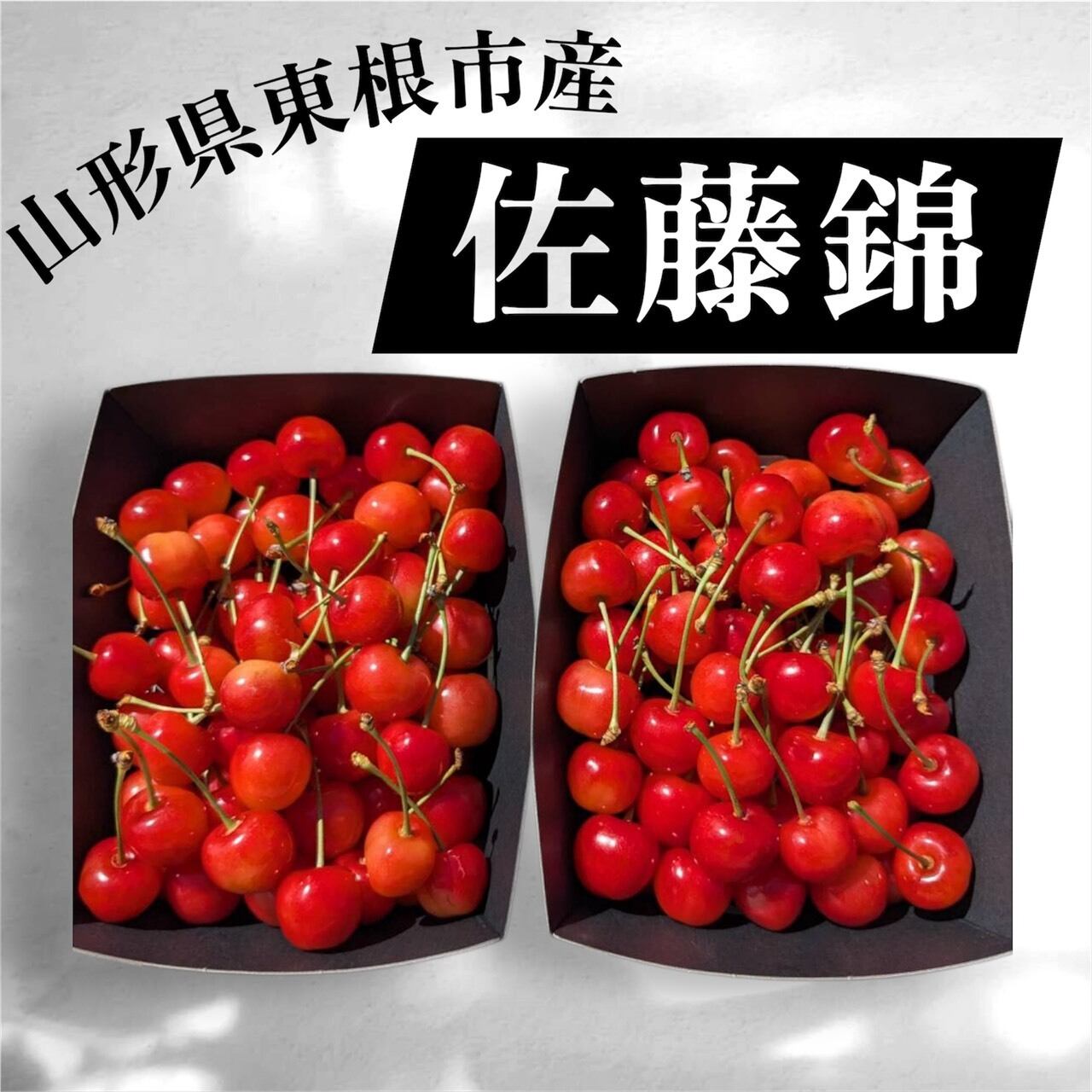 品番503 佐藤錦 1㎏バラ詰 Lサイズ（500g×2P） | 果樹 おおた屋