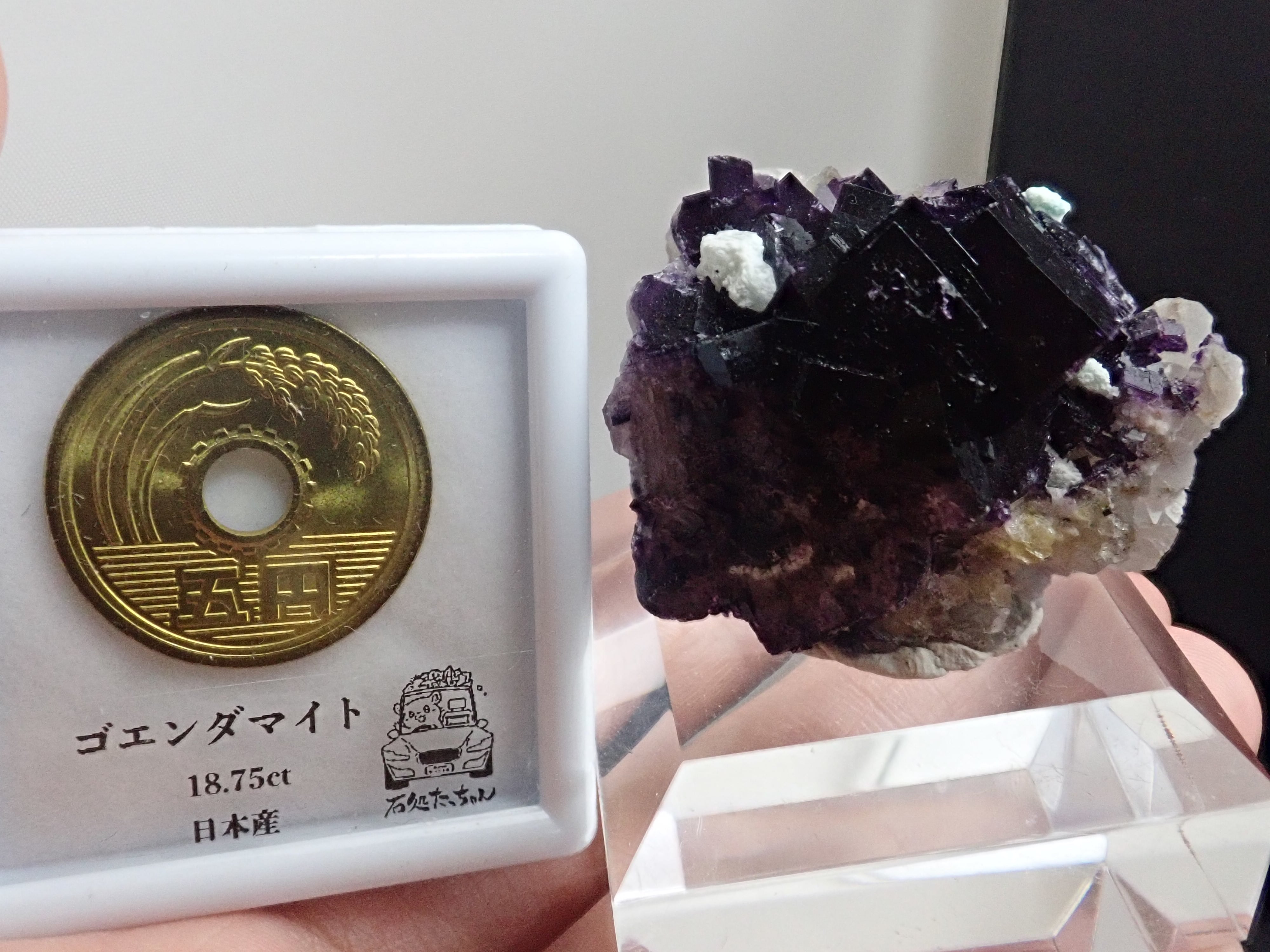 The Bull Vein産　フローライト　蛍石　原石　鉱物　鉱物標本 The Bull Vein フローライト（蛍石） | 鉱物標本,ハ行,フローライト/蛍
