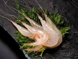 凍眠】白えび殻付き200g（富山湾産） | 越田商店｜富山湾氷見の