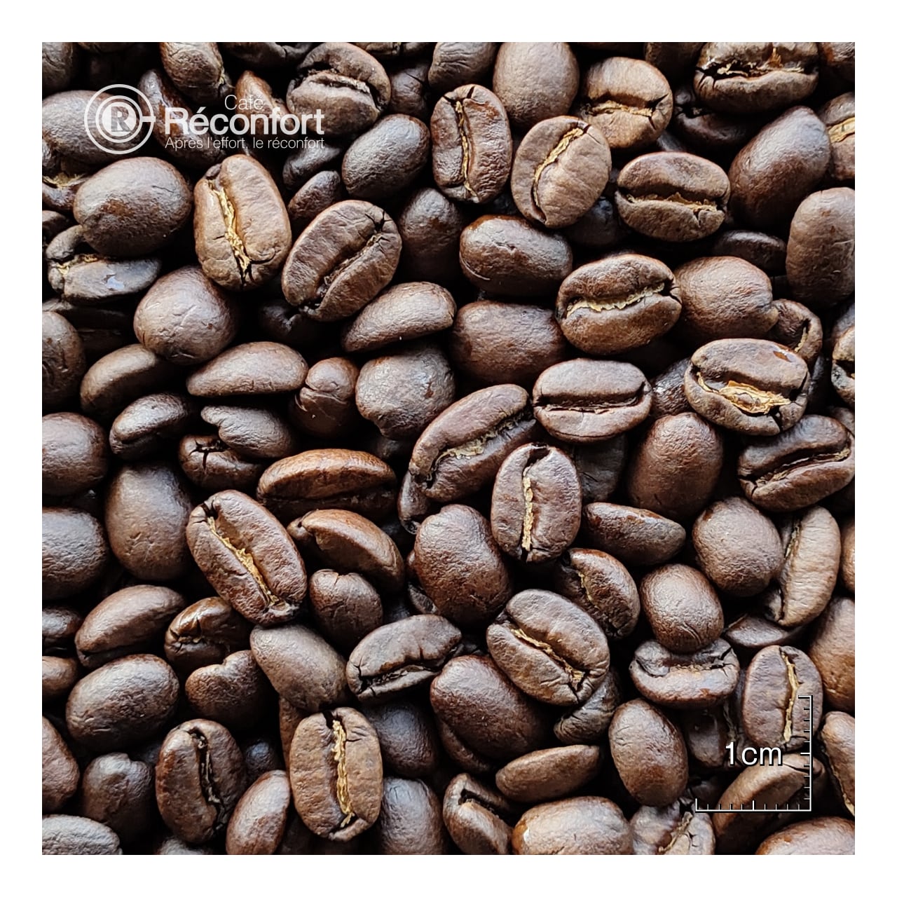 コーヒー生豆格安】コロンビア SWEET FLOWERS 5キロ 未開封 限定