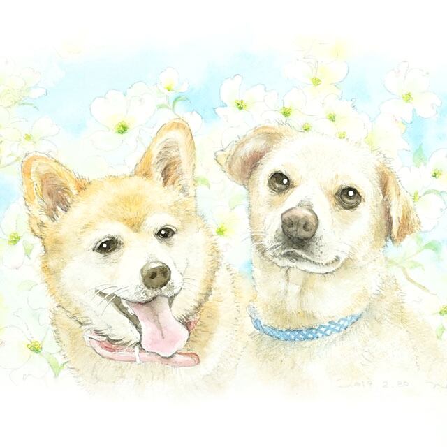 ペットの似顔絵(2匹) カジュアルなオフホワイトフレーム入り-送料無料-