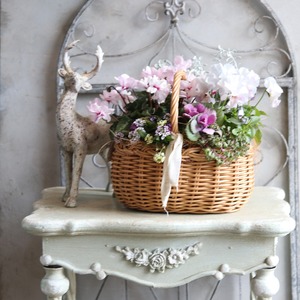 冬から春に楽しむ寄せ植え　ピンクの八重咲きシクラメンとパンジーぺルクレアのやさしい春色のバスケットの寄せ植え　お正月にオススメ　届いてすぐ玄関に飾れる 　プレゼントにもオススメ　