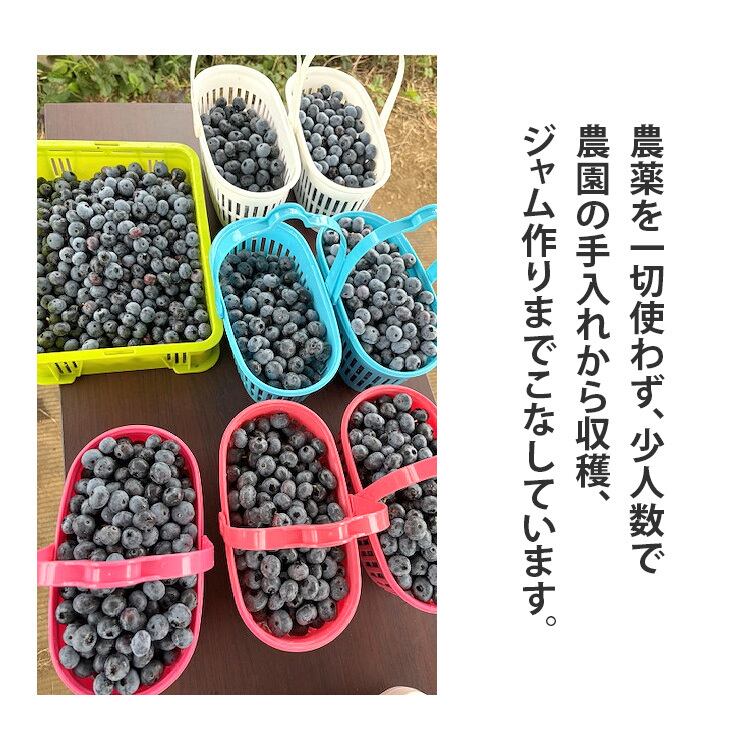 ジャム用ブルーベリー販売　（農薬無使用） ジャム用ブルーベリー販売 （農薬無使用）