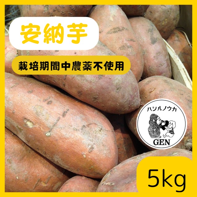 安納芋(５kg）栽培期間中農薬不使用／熟成１ヵ月以上でお届け！(滋賀県産)・(さつまいも)・(土付き)