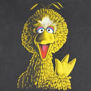 SESAME STREET 'BIG BIRD BLACK OUT' CHANGES XXL 1310