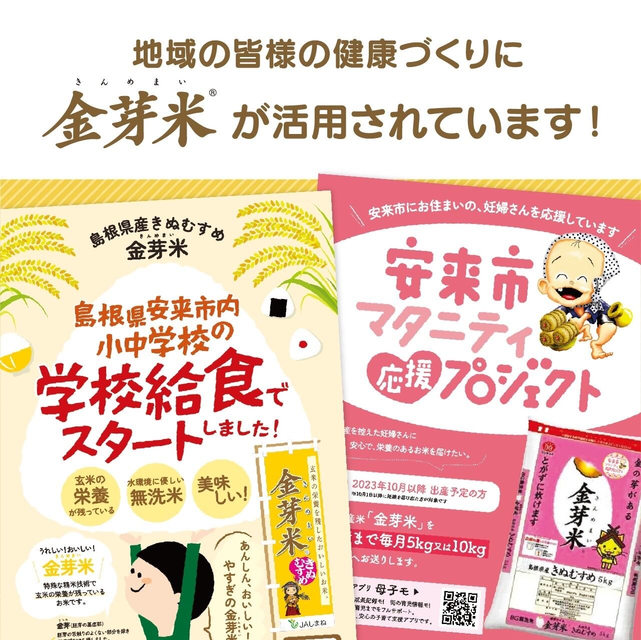 令和7年産 島根県産金芽米きぬむすめ 5キロ 送料込み | JAしまね や