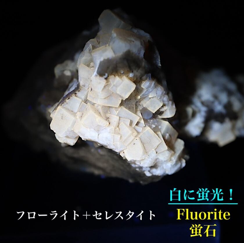 レア】オハイオ州産フローライト - コレクション