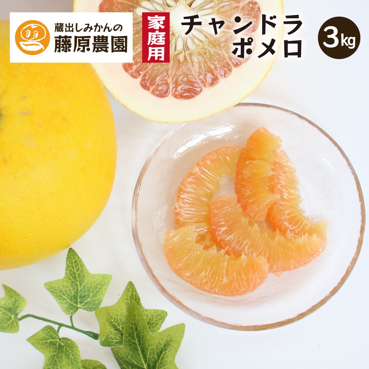 チャンドラポメロ3kg 家庭用【送料無料】 | 蔵出しみかんの産地直送