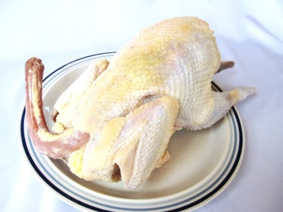 177c1bbf7262ef97f0e4a0214d5aaf